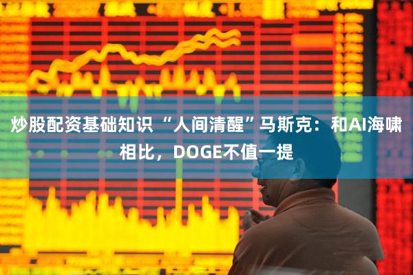 炒股配资基础知识 “人间清醒”马斯克：和AI海啸相比，DOGE不值一提