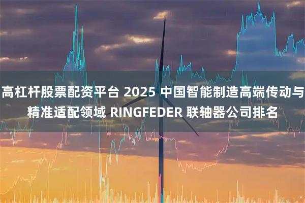 高杠杆股票配资平台 2025 中国智能制造高端传动与精准适配领域 RINGFEDER 联轴器公司排名