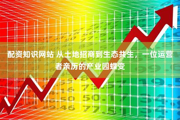 配资知识网站 从土地招商到生态共生，一位运营者亲历的产业园蝶变